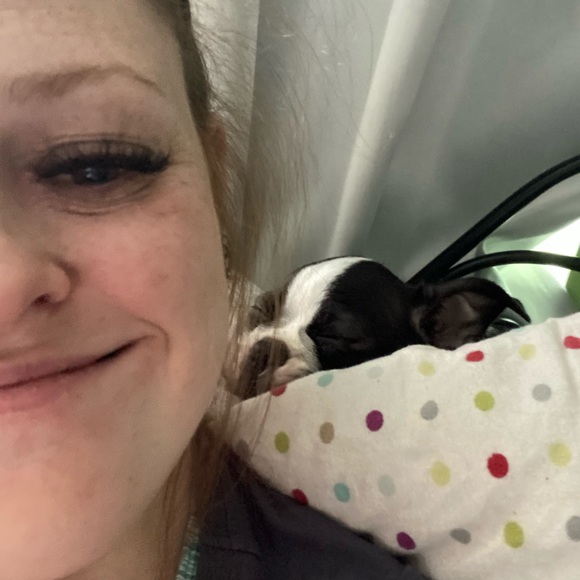 Meet your Posher, Brittany - Picture 6 of 7